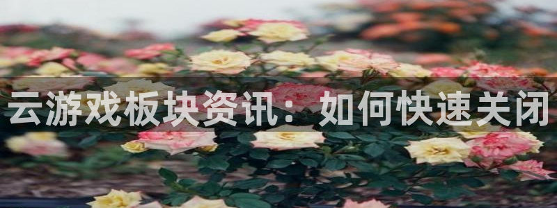 欧博娱乐登录网址：云游戏板块资讯：如何快速关闭