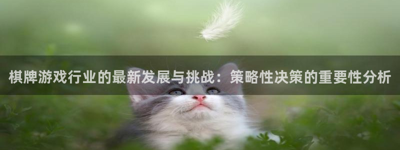欧博娱乐集团：棋牌游戏行业的最新发展与挑战：策略性决策的重要