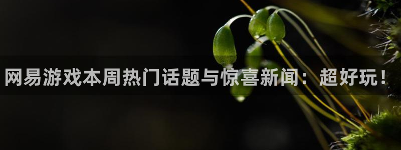 欧博娱乐网页版地址：网易游戏本周热门话题与惊喜新闻：超好玩！
