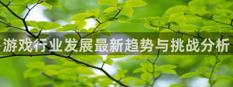 欧博娱乐游戏：游戏行业发展最新趋势与挑战分析