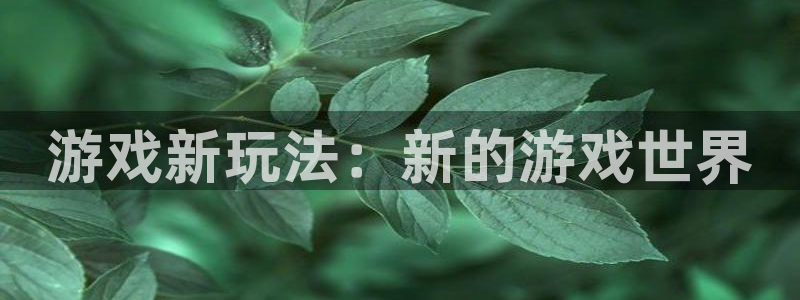 欧博娱乐登录：游戏新玩法：新的游戏世界