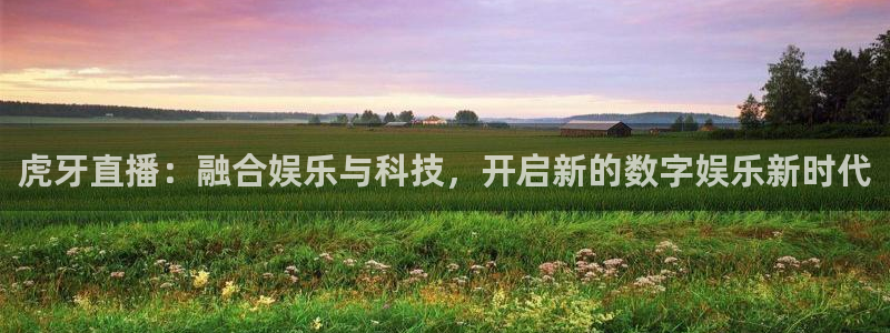 球神体育：虎牙直播：融合娱乐与科技，开启新的数字娱乐新时代