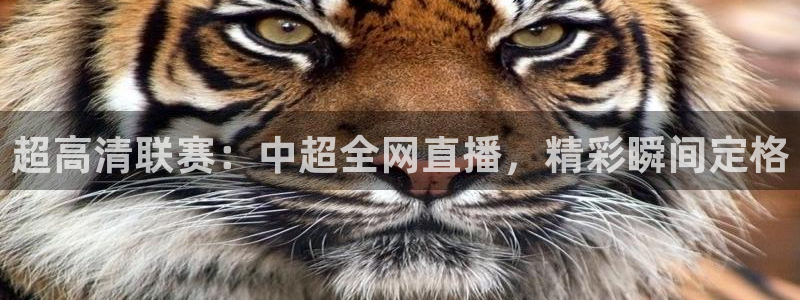 qszb球神直播首页：超高清联赛：中超全网直播，精彩瞬间定格