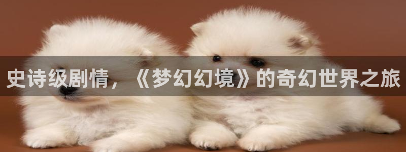 欧博平台开户