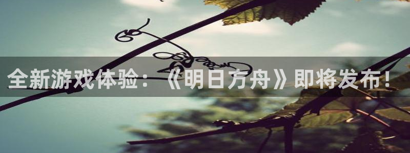 欧博官网下载APP