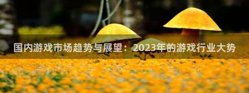 欧博官网一比一包杀