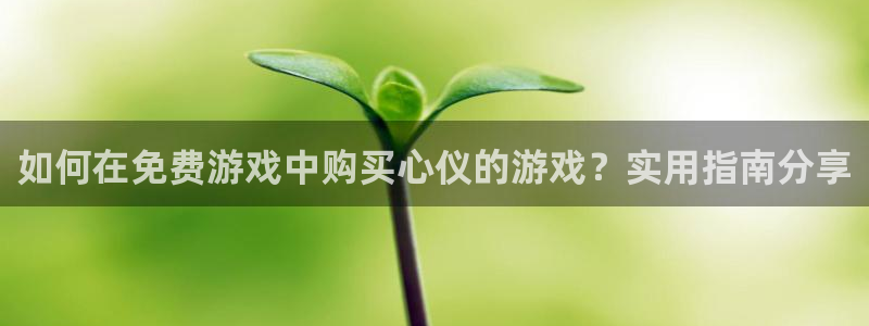 欧博官网合作上分