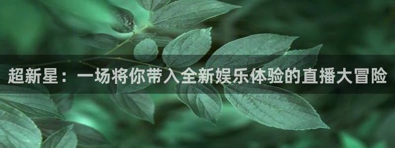 欧博是个什么平台