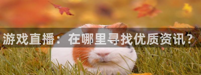 欧博官网游戏官网