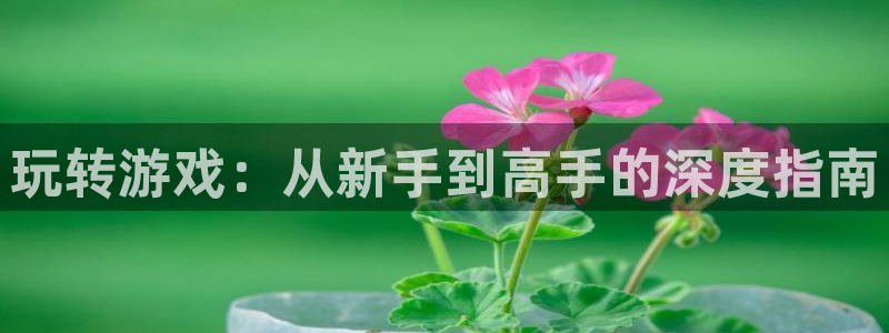 欧博平台是直播吗
