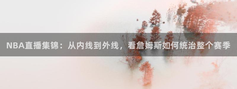 球神 直播：NBA直播集锦：从内线到外线，看詹姆斯如何统治整个赛季