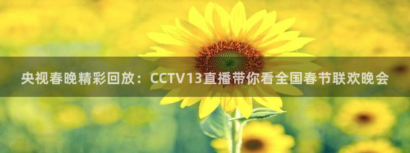 球神体育在线直播